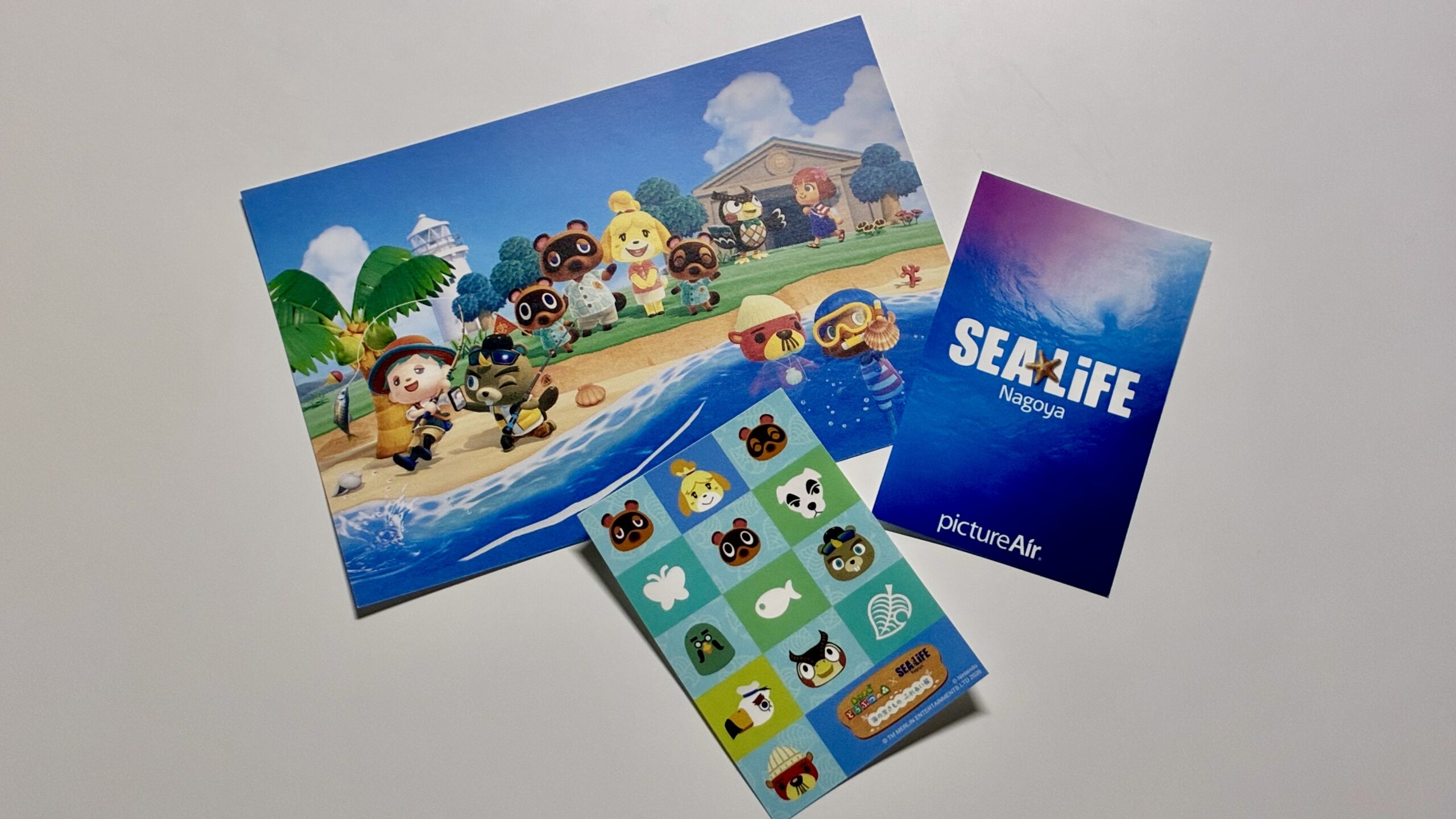 【体験レポート】名古屋シーライフ水族館のあつ森コラボに大人だけで行ってみた