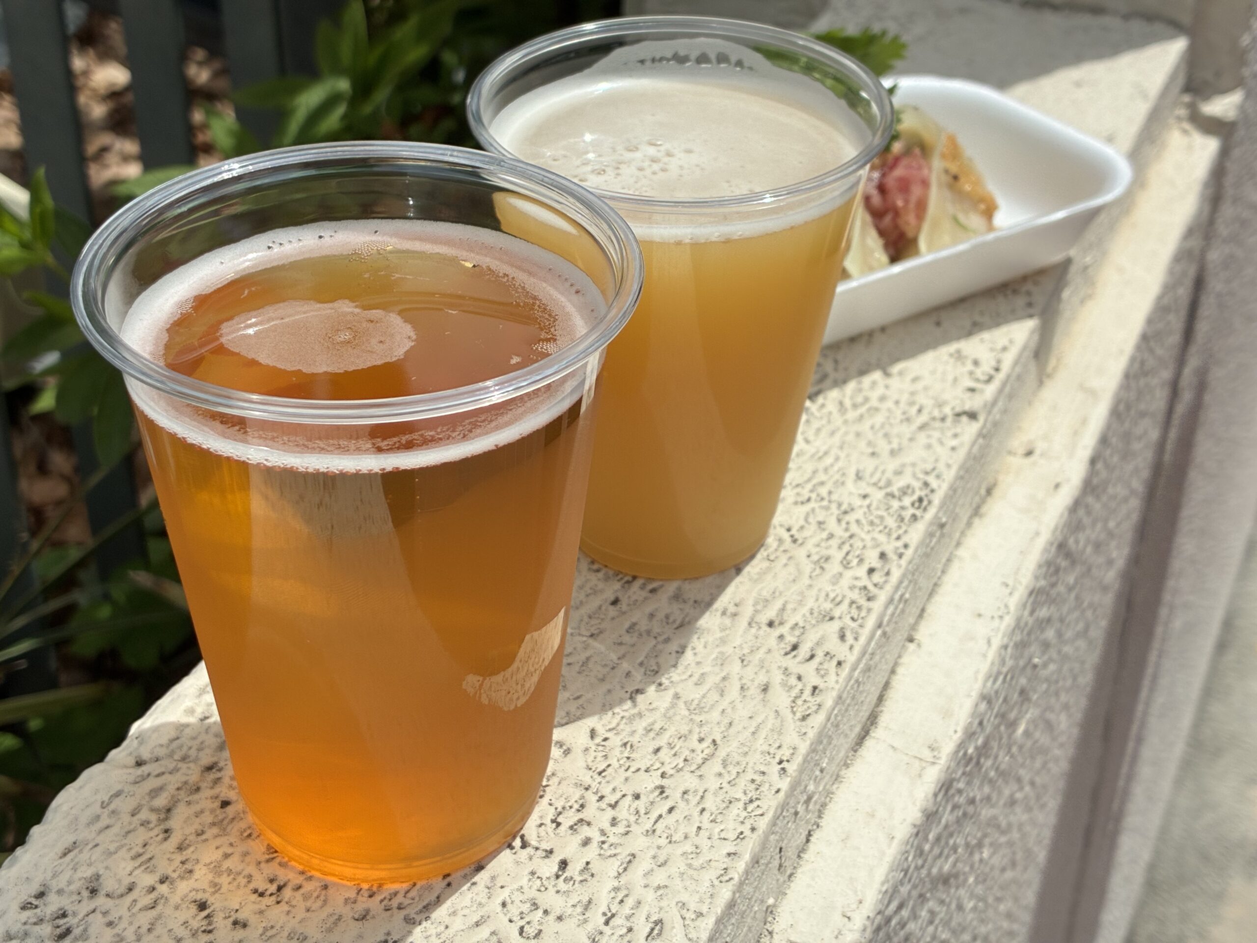 【体験レポ】ナゴビア2026で何を飲む？『琥珀の夢で酔いましょう』好きが気になるクラフトビール